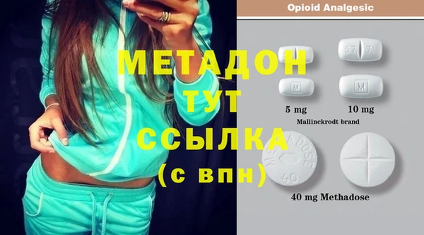 хмурый Аркадак