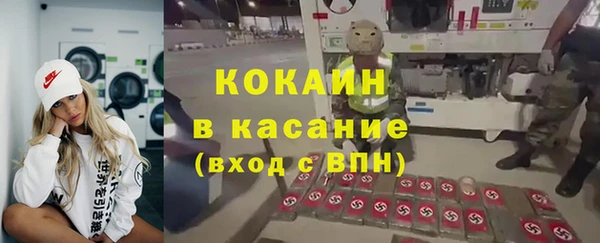 хмурый Аркадак