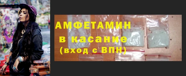 хмурый Аркадак