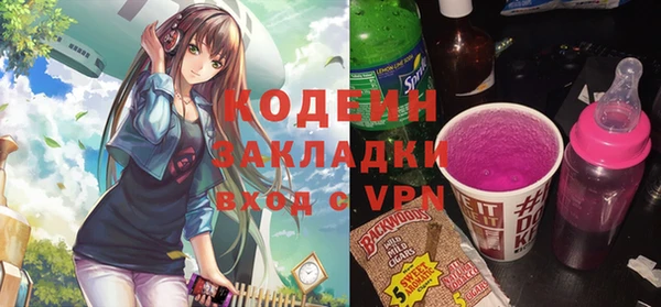 хмурый Аркадак