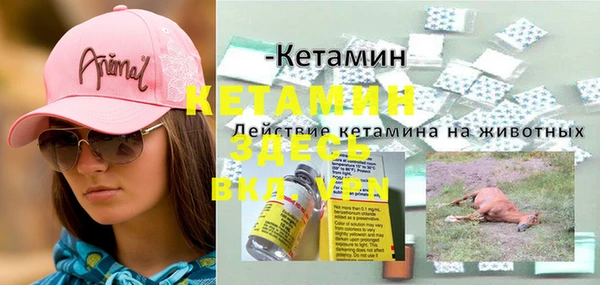 хмурый Аркадак