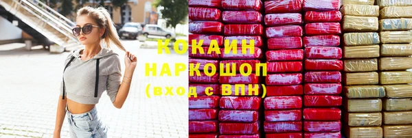 хмурый Аркадак
