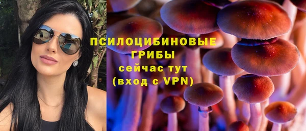 PSILOCYBIN Баксан