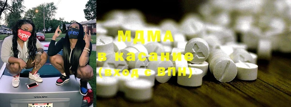 хмурый Аркадак