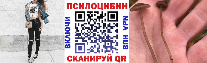 Галлюциногенные грибы ЛСД Белая Холуница