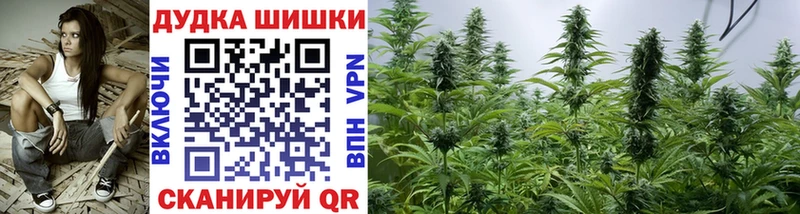 ссылка на мегу вход  купить  цена  Белая Холуница  Канабис White Widow 